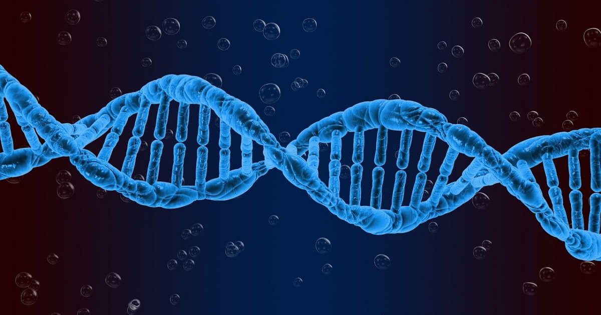 O Dna é A Substância Química Que Forma Nossos Genes