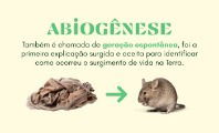 Abiogênese (teoria)