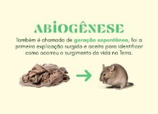 Abiogênese (teoria)