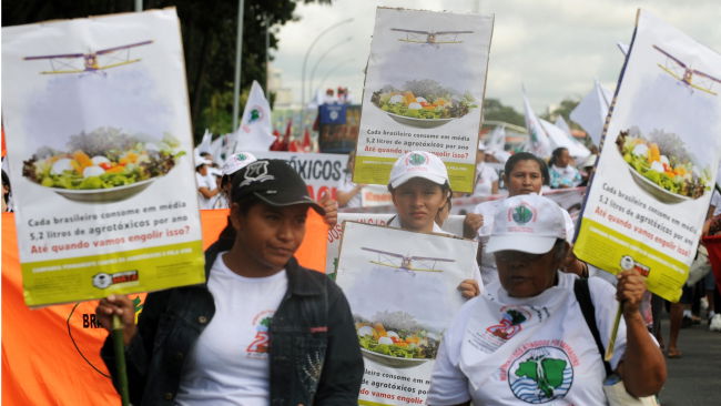 Marcha em favor da Campanha Permanente contra os Agrotóxicos e pela Vida, realizada em Brasília, no ano de 2011.