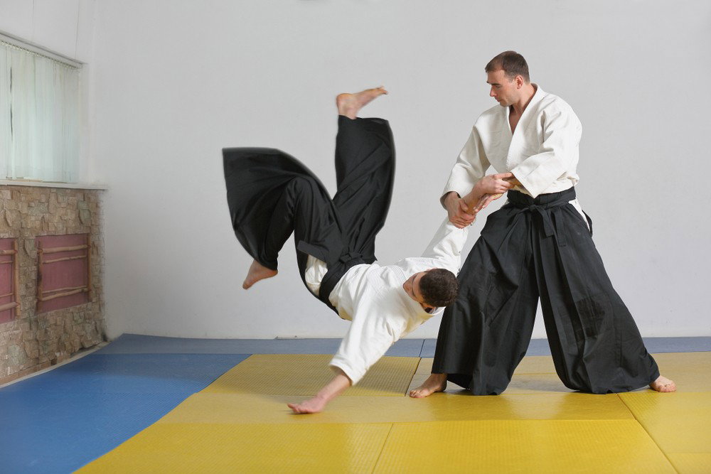 Artes Marciais: o que são, tipos e exemplos - Significados