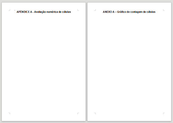 Apêndices ou Anexos - ABNT