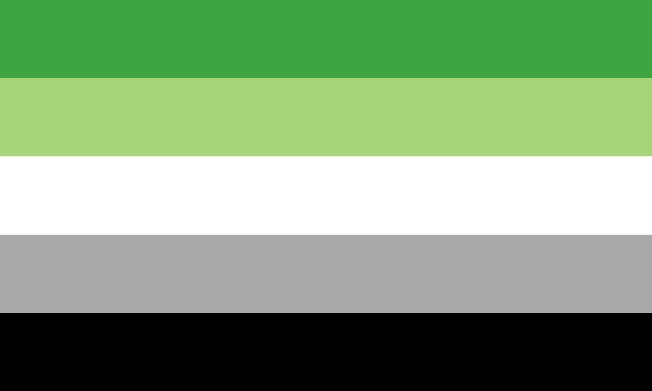Bandeira de arromanticidade com as cores verde, branca, cinza e preta.