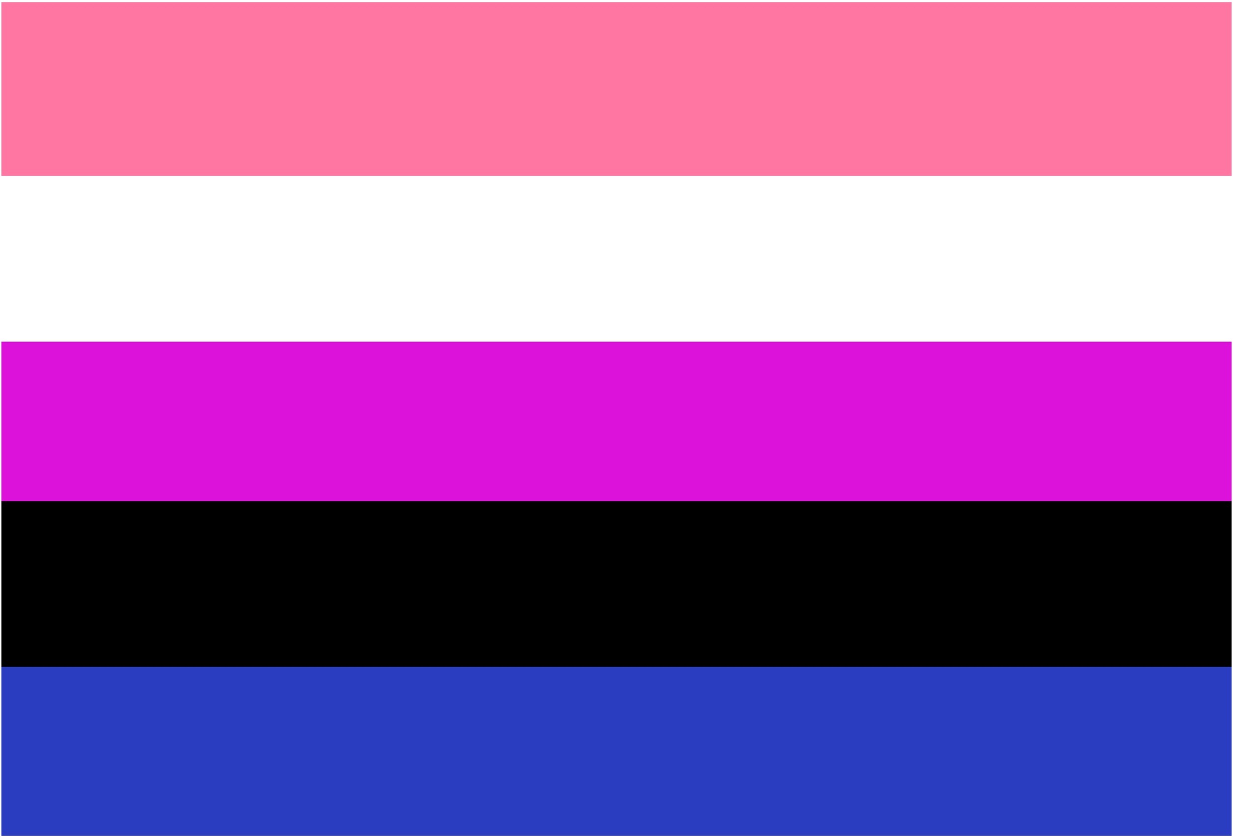 Bandeira do gênero fluido com as cores rosa, branco, lilás, preto e azul.