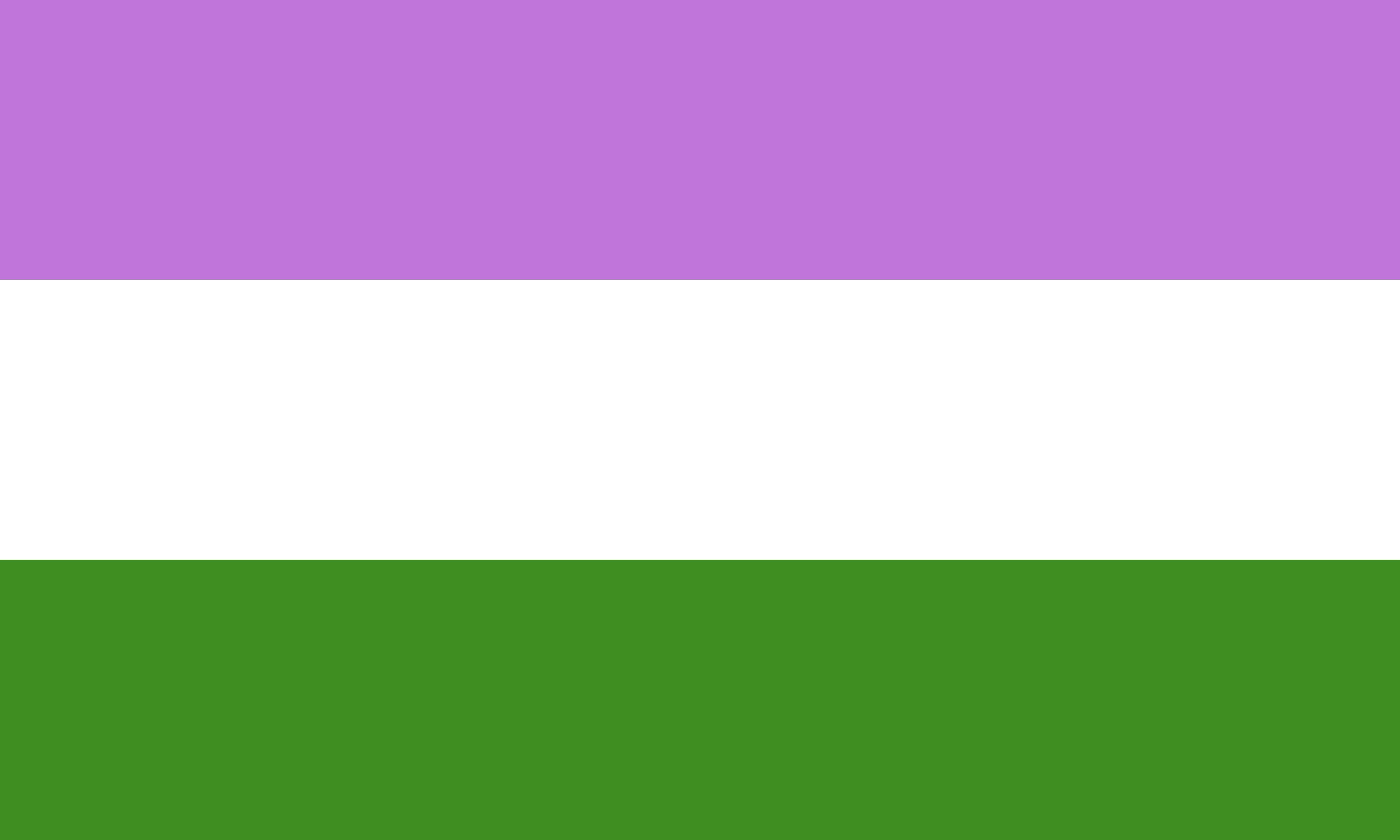 Bandeira queer com as cores branca, roxa e verde.