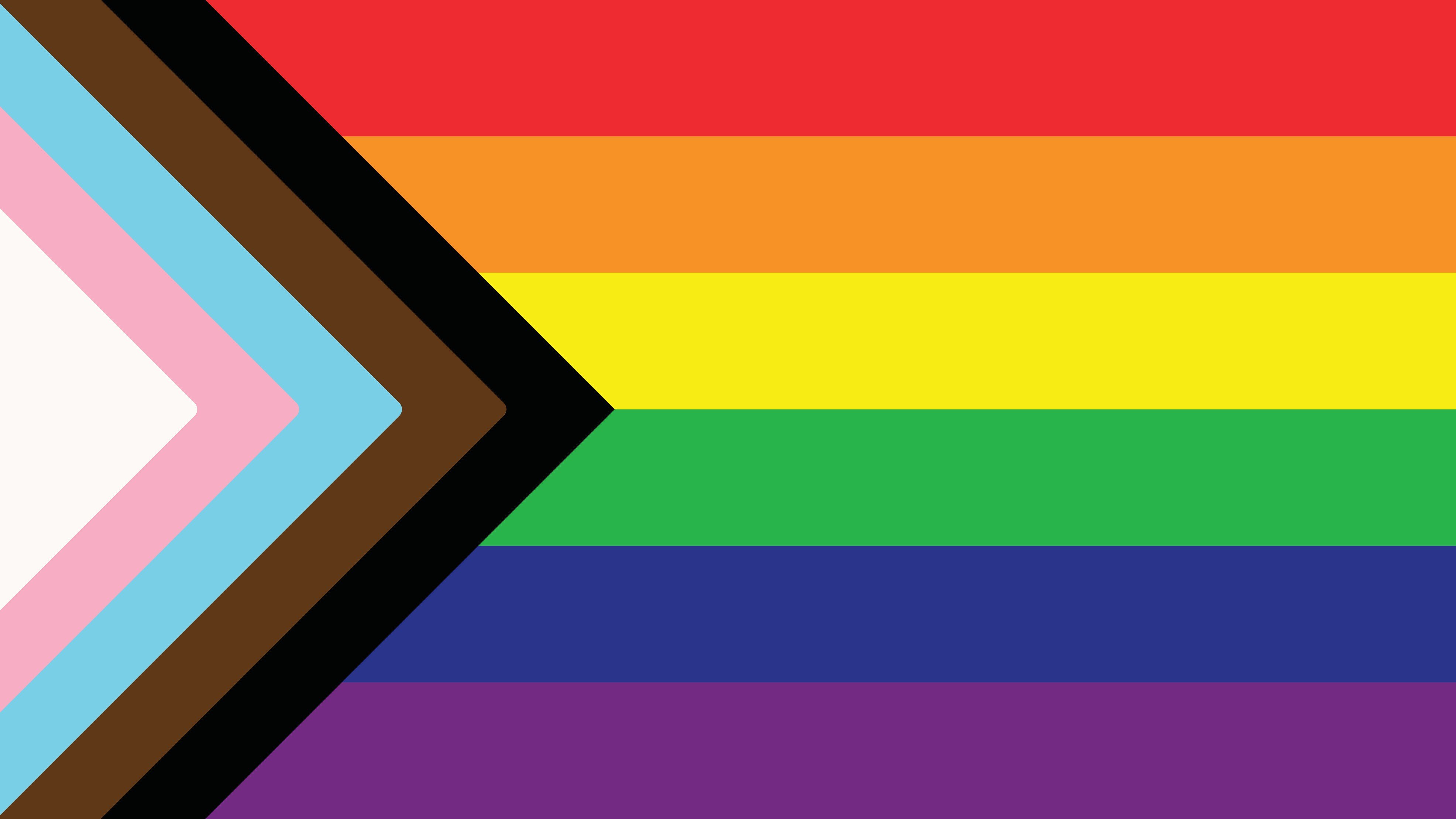 Bandeira LGBT+ com as cores marrom e preta simbolizando pessoas não-brancas.