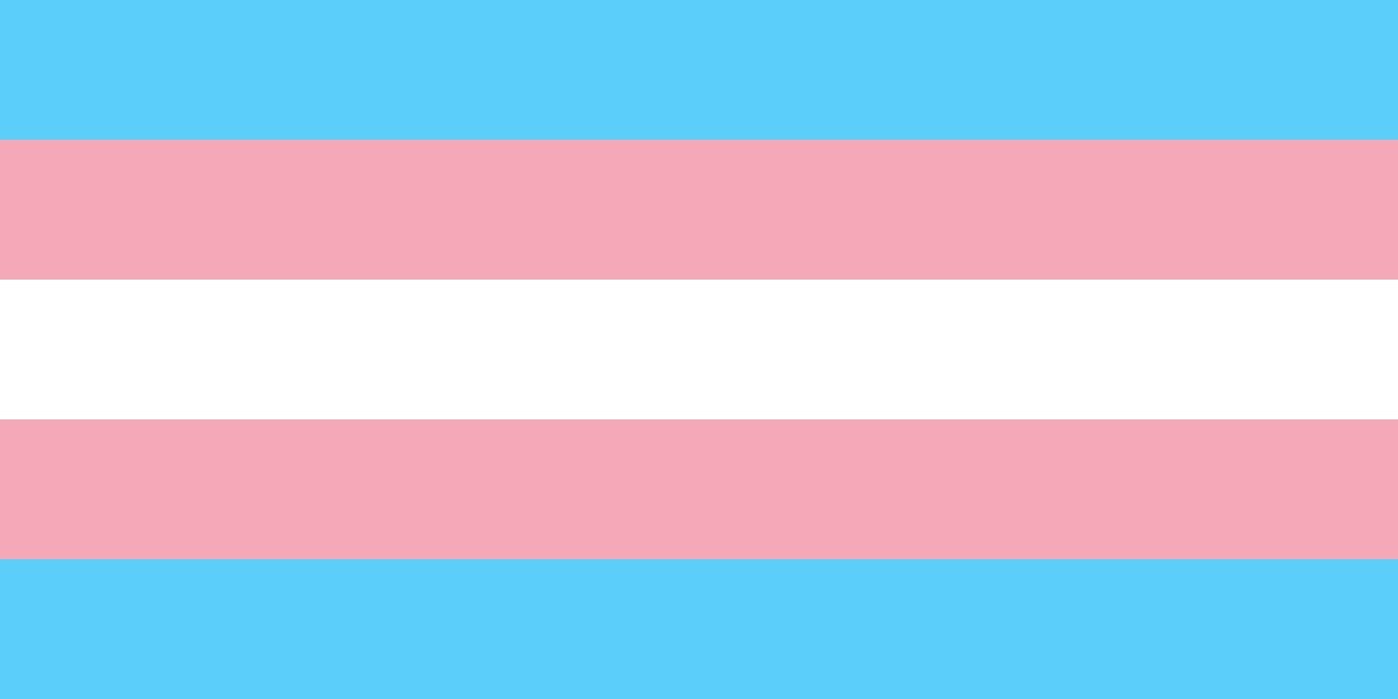Bandeira do orgulho transexual com as cores rosa, branco e azul.