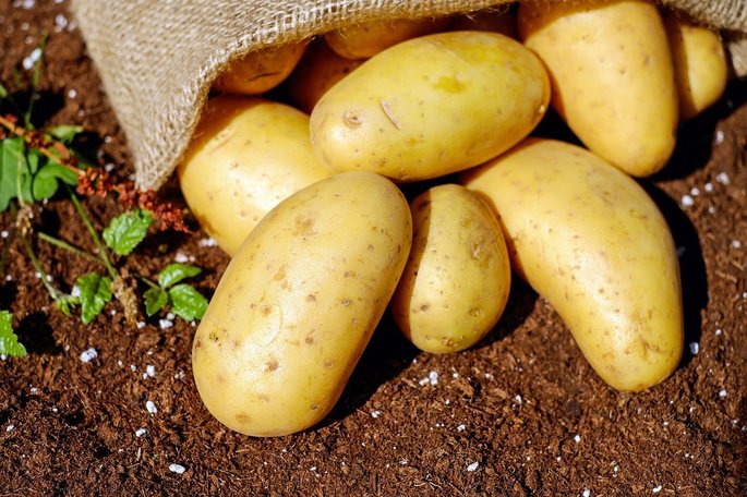 Batatas
