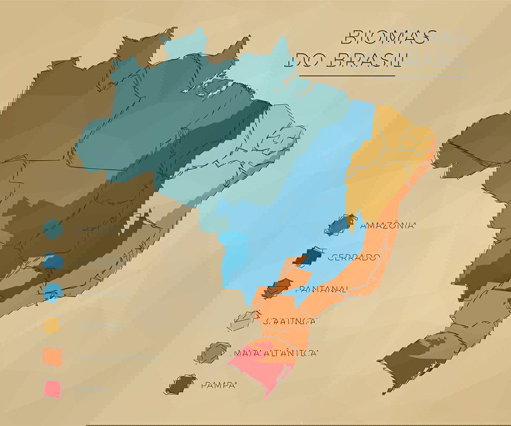 Mapa brasileiro com a representação dos biomas destacados por cores.
