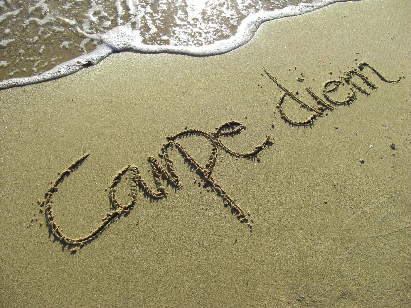Carpe Diem Significado E Tradu o Em Portugu s Enciclop dia Significados