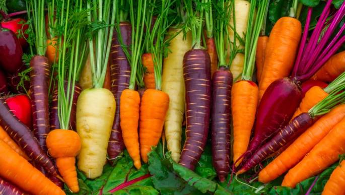 Cenoura de diversas cores