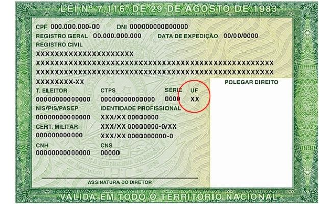 Órgão expedidor: o que é e onde encontrar no seu documento?