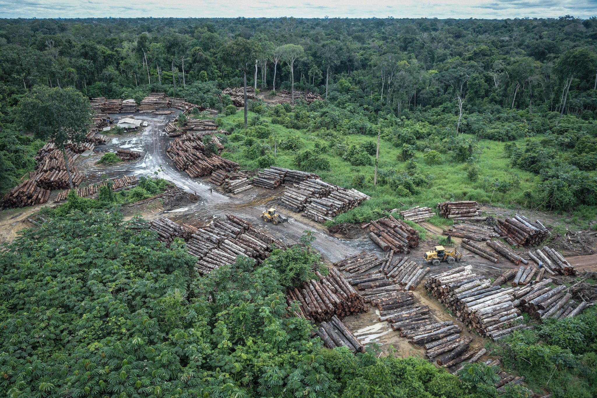 desmatamento floresta amazônica