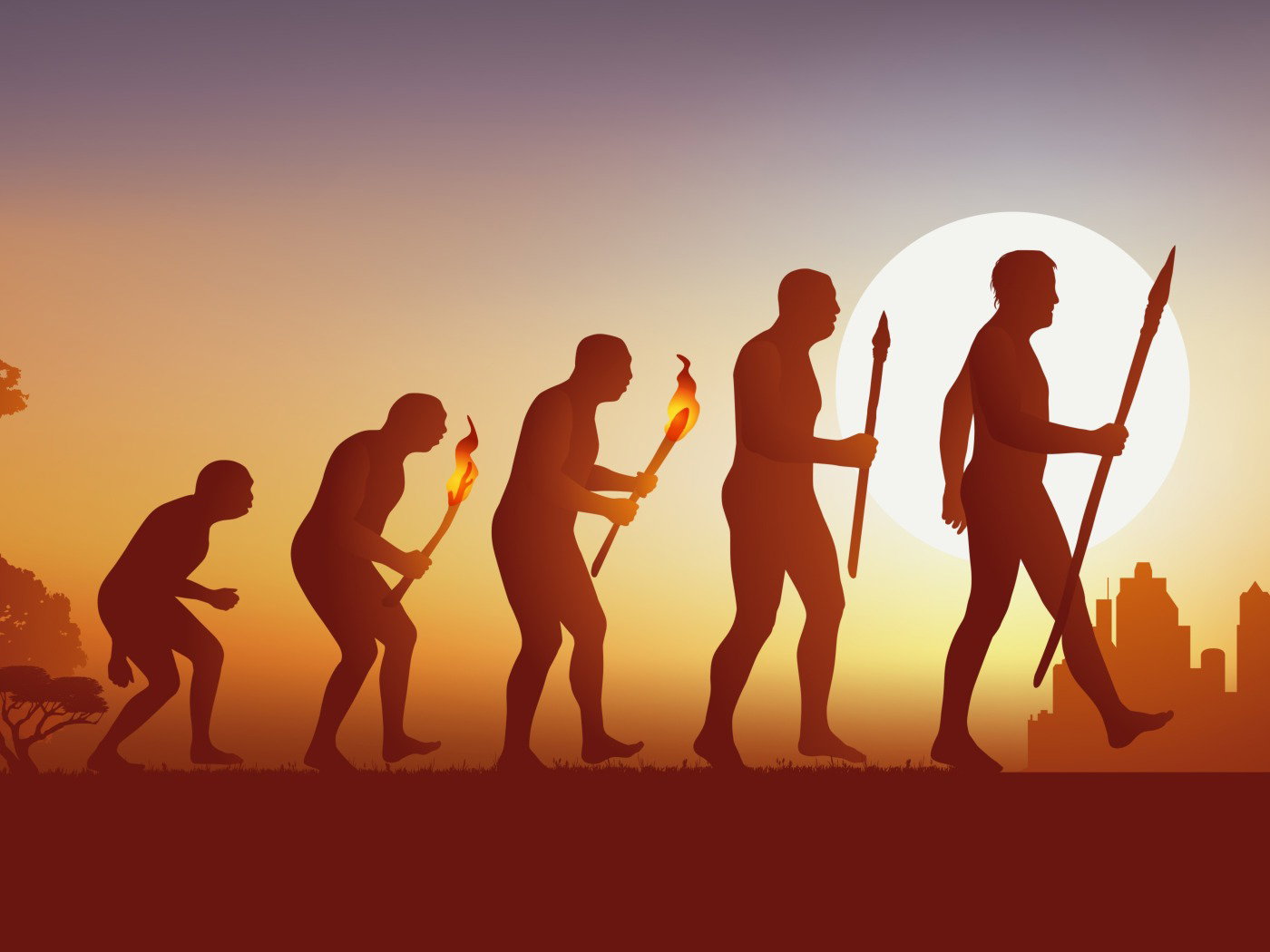 Linha Do Tempo Da Evolucao Dos Primeiros Humanos