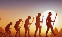 Evolução Humana: o que é, origem e etapas