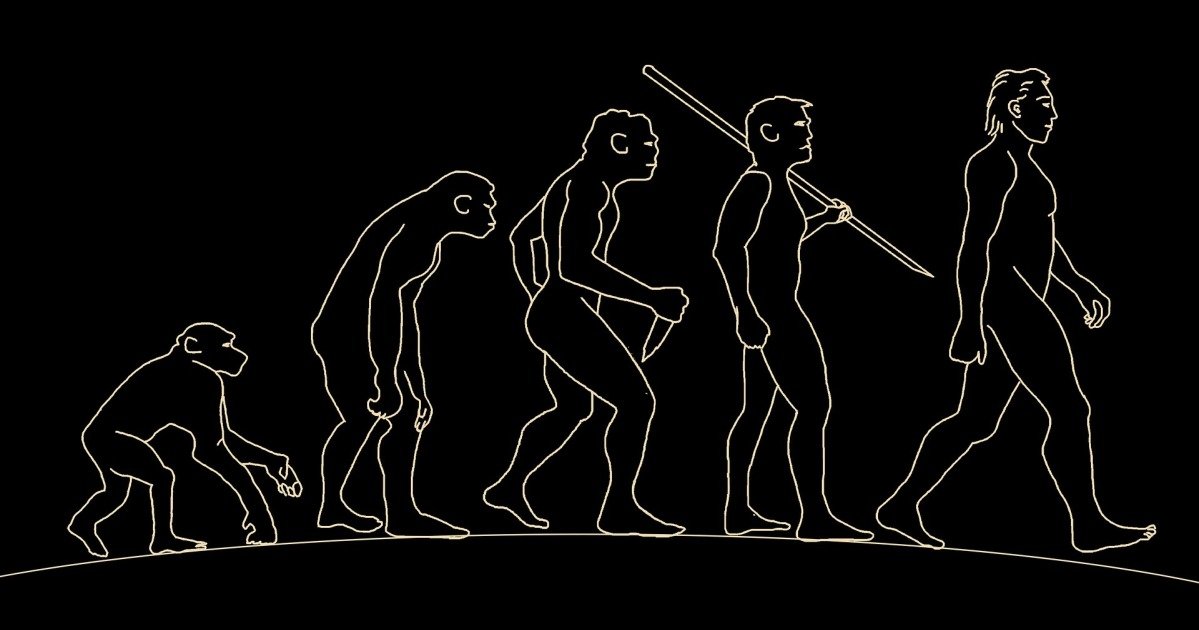 O Que O Evolucionismo Entenda O Significado E A Defini O