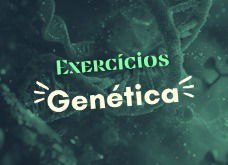 Exercícios sobre genética para estudar (com respostas explicadas)