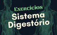 Exercícios sobre o sistema digestório (com questões explicadas)