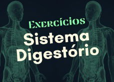 Exercícios sobre o sistema digestório (com questões explicadas)