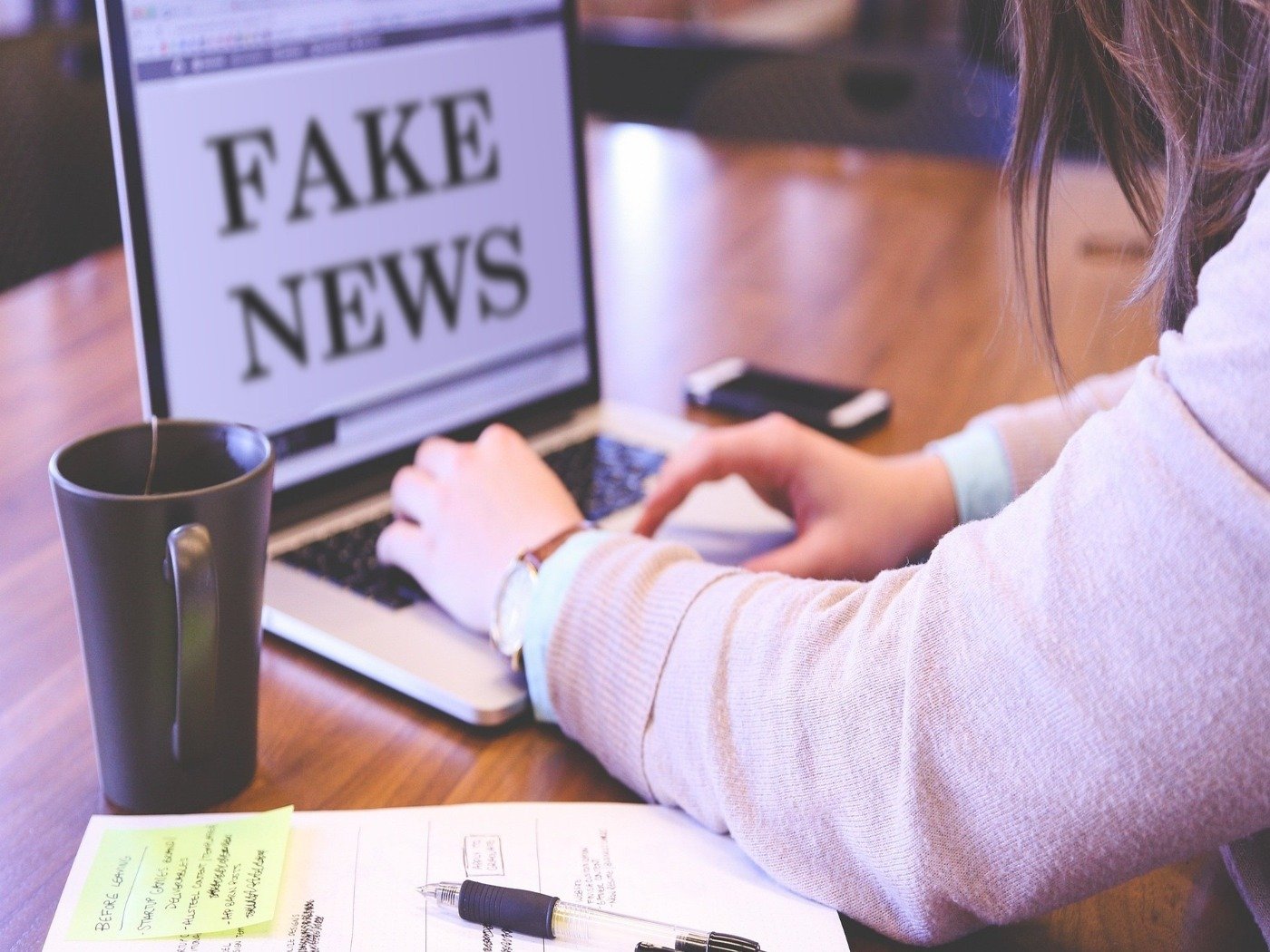Fake News: o que é, significado e como identificar - Significados