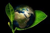 7 Formas de ajudar a preservar o meio ambiente