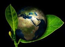 7 maneiras de preservar o meio ambiente