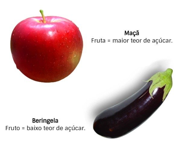 fruta e fruto