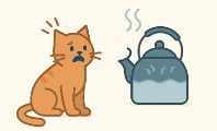 Gato escaldado tem medo de água fria (ditado explicado)
