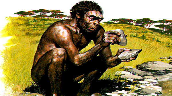 Significado de Evolução Humana (O que é, Conceito e Definição ...