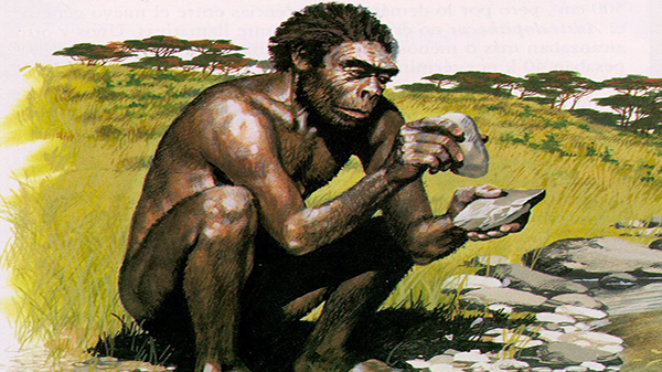 Homo Habilis