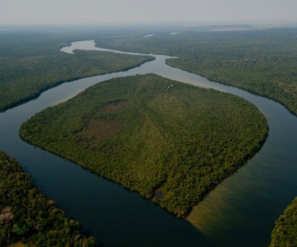 5 Características Do Bioma Cerrado Enciclopédia Significados 4541