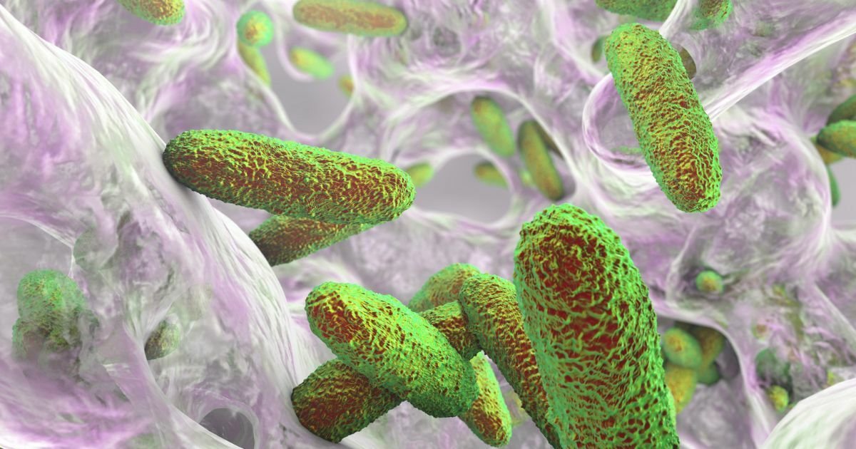 Bactéria klebsiella pneumoniae em visão microscópica