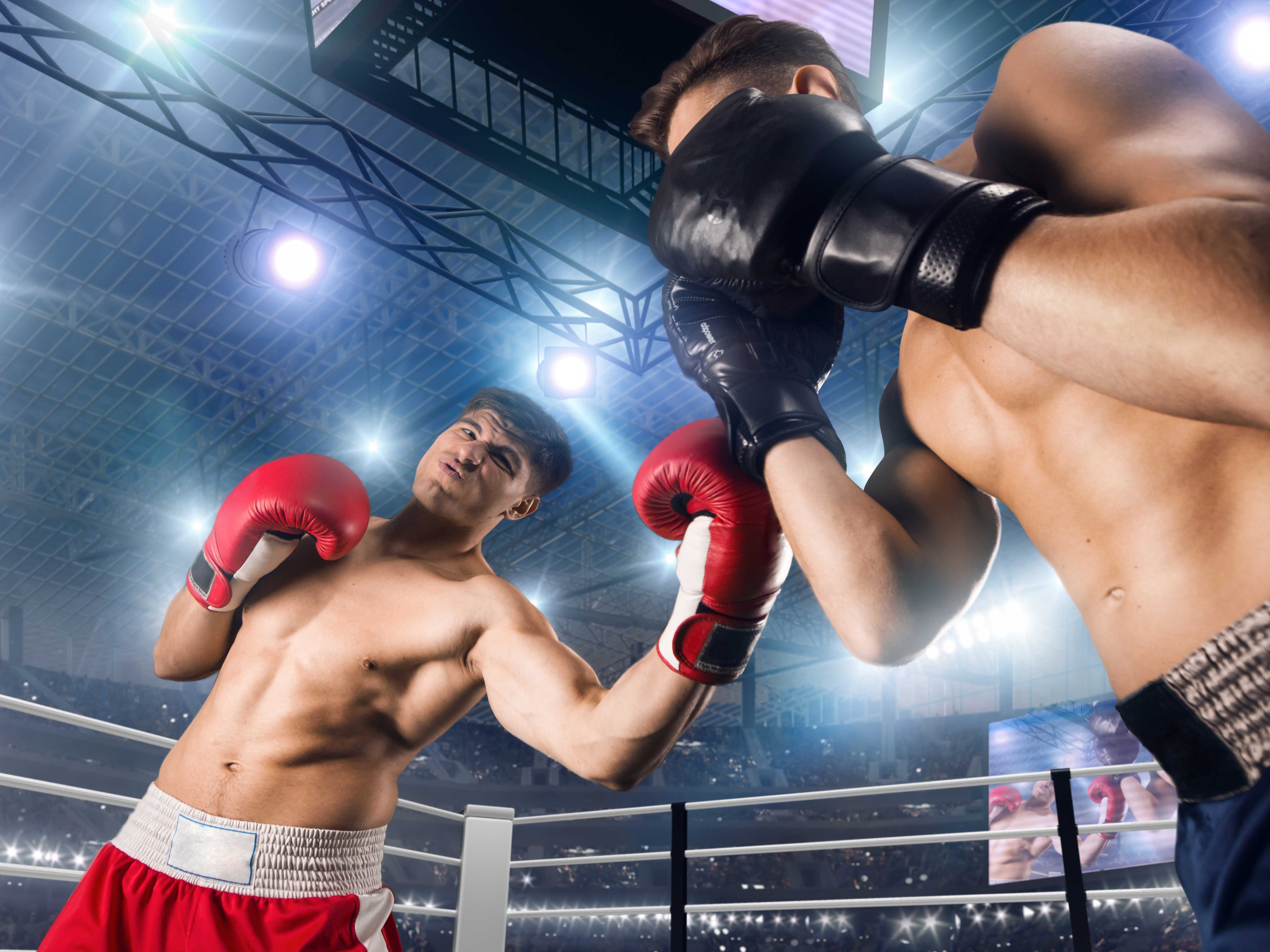 Esportes De Combate O Que S o 12 Exemplos E Caracter sticas 