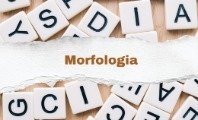 Morfologia da Língua Portuguesa: o que é e exemplos