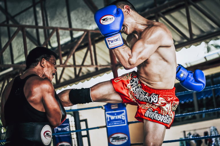Muay Thai visual data 4