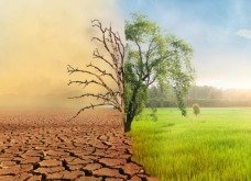 Mudanças climáticas: o que são, resumo, causas e consequências