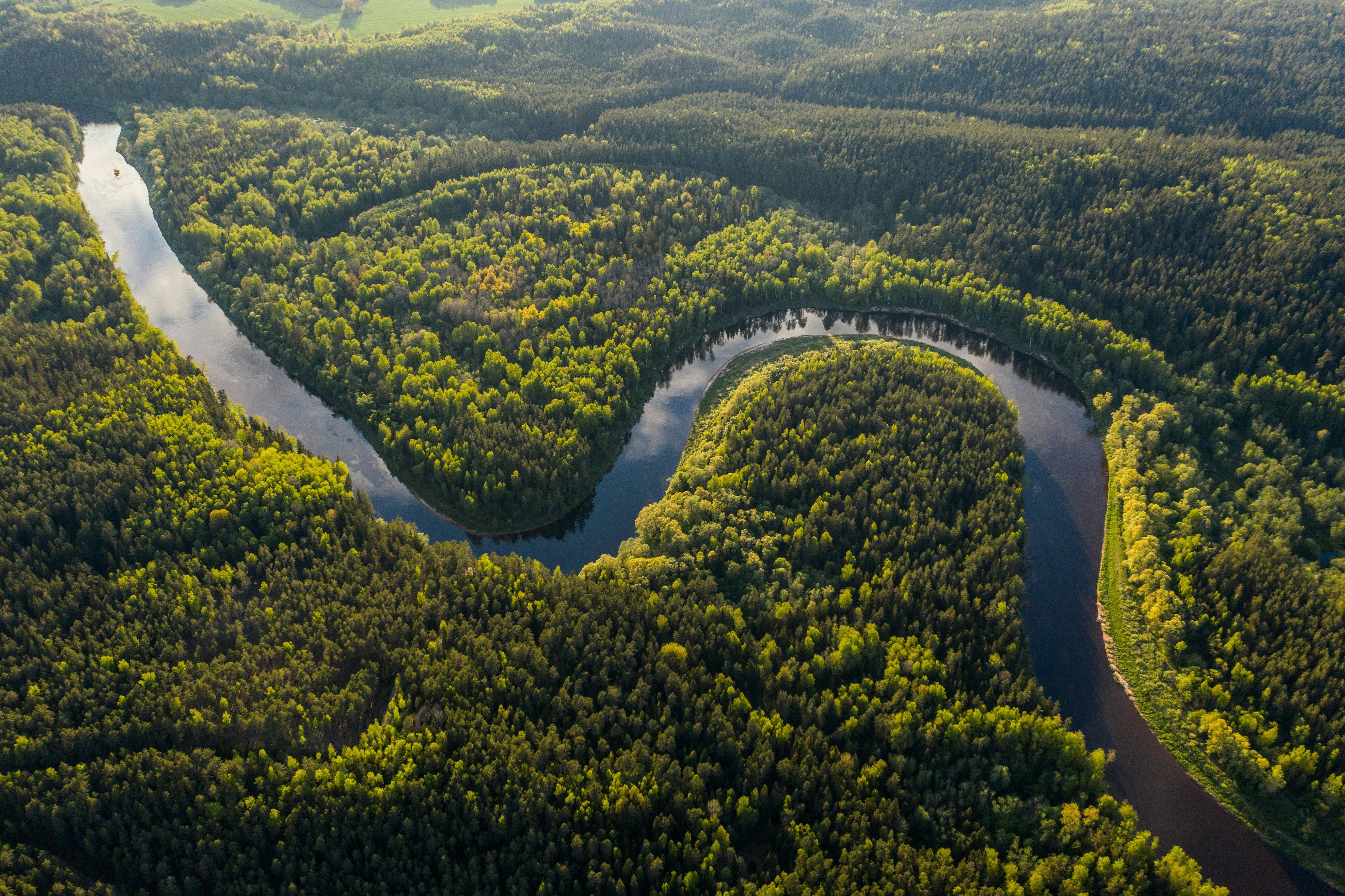 Vista superior da floresta amazônica intocada serpenteada por rio de águas escuras.
