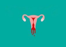 Nidação e menstruação