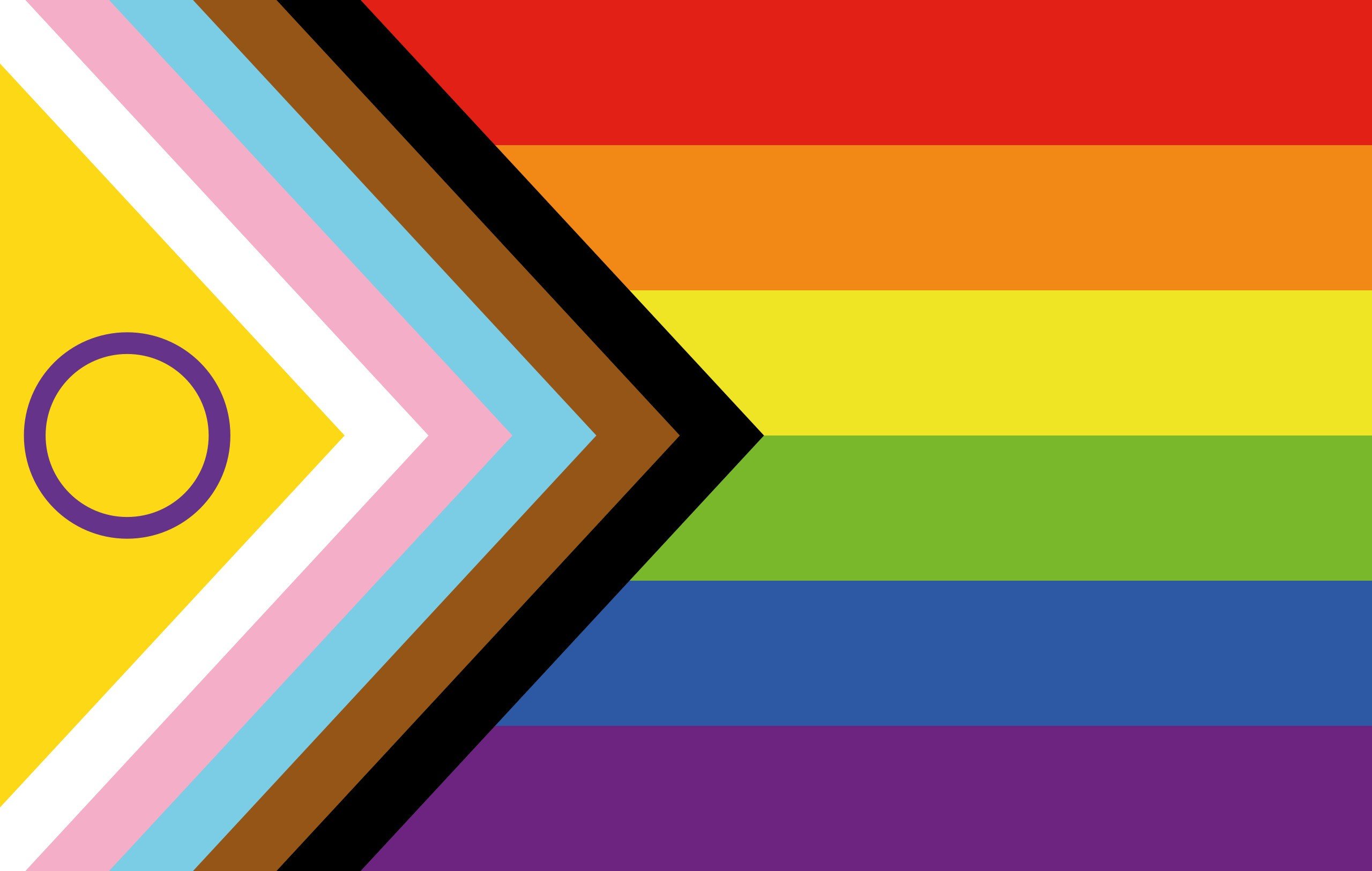 Nova bandeira LGBT+ que inclui as cores símbolo da bandeira intersexo e da representação racial.