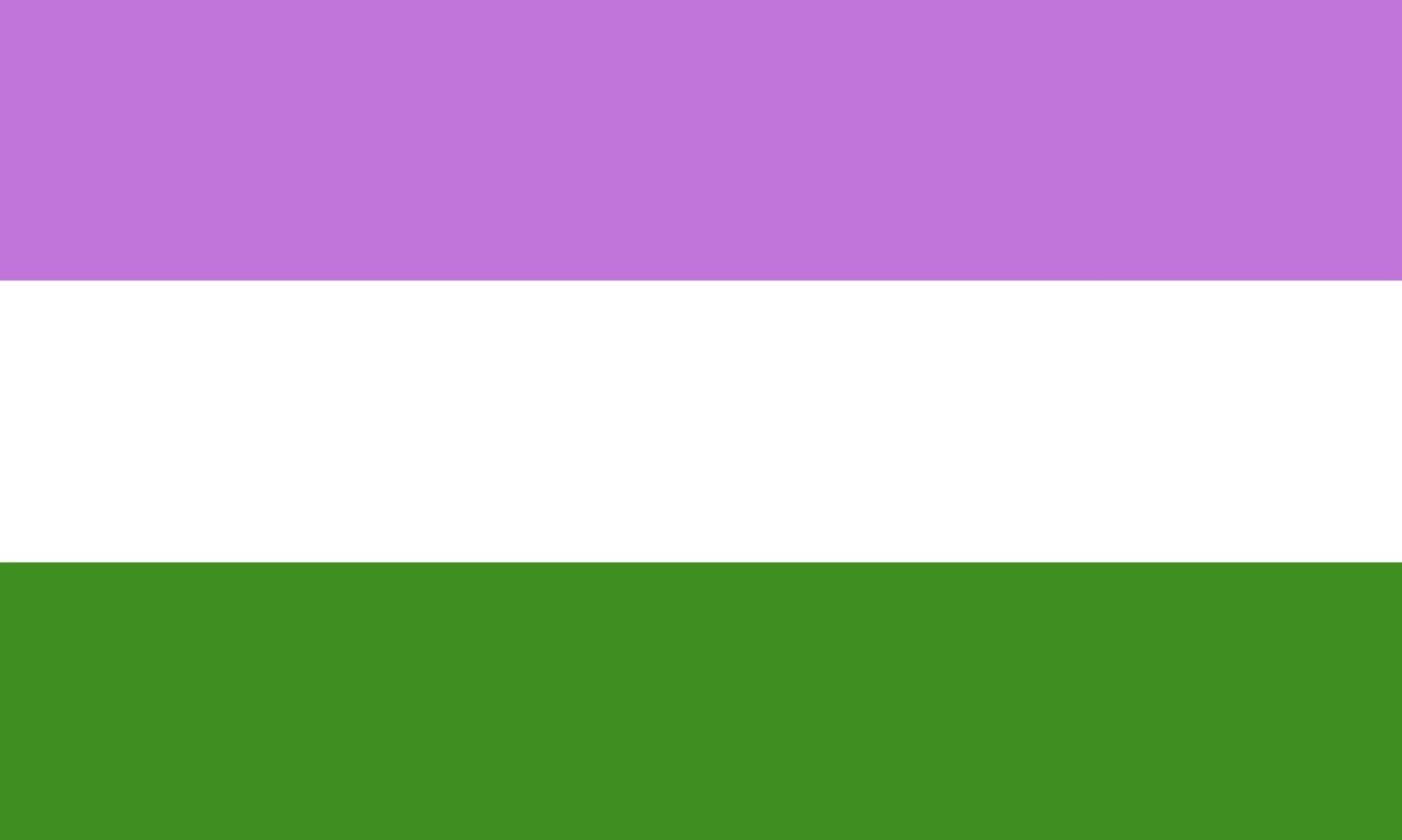 Bandeira queer em listras roxas, brancas e verdes