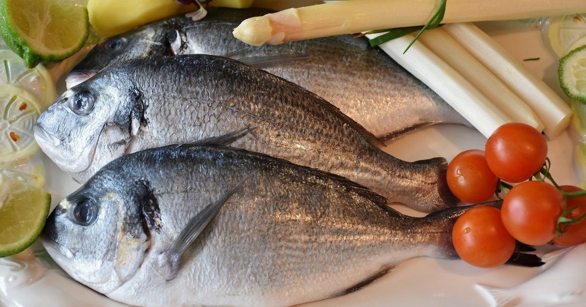 Significado do Peixe na Páscoa - Significados