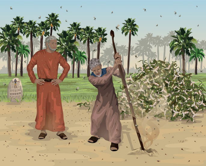 Terceira praga do Egito: infestação de mosquitos.