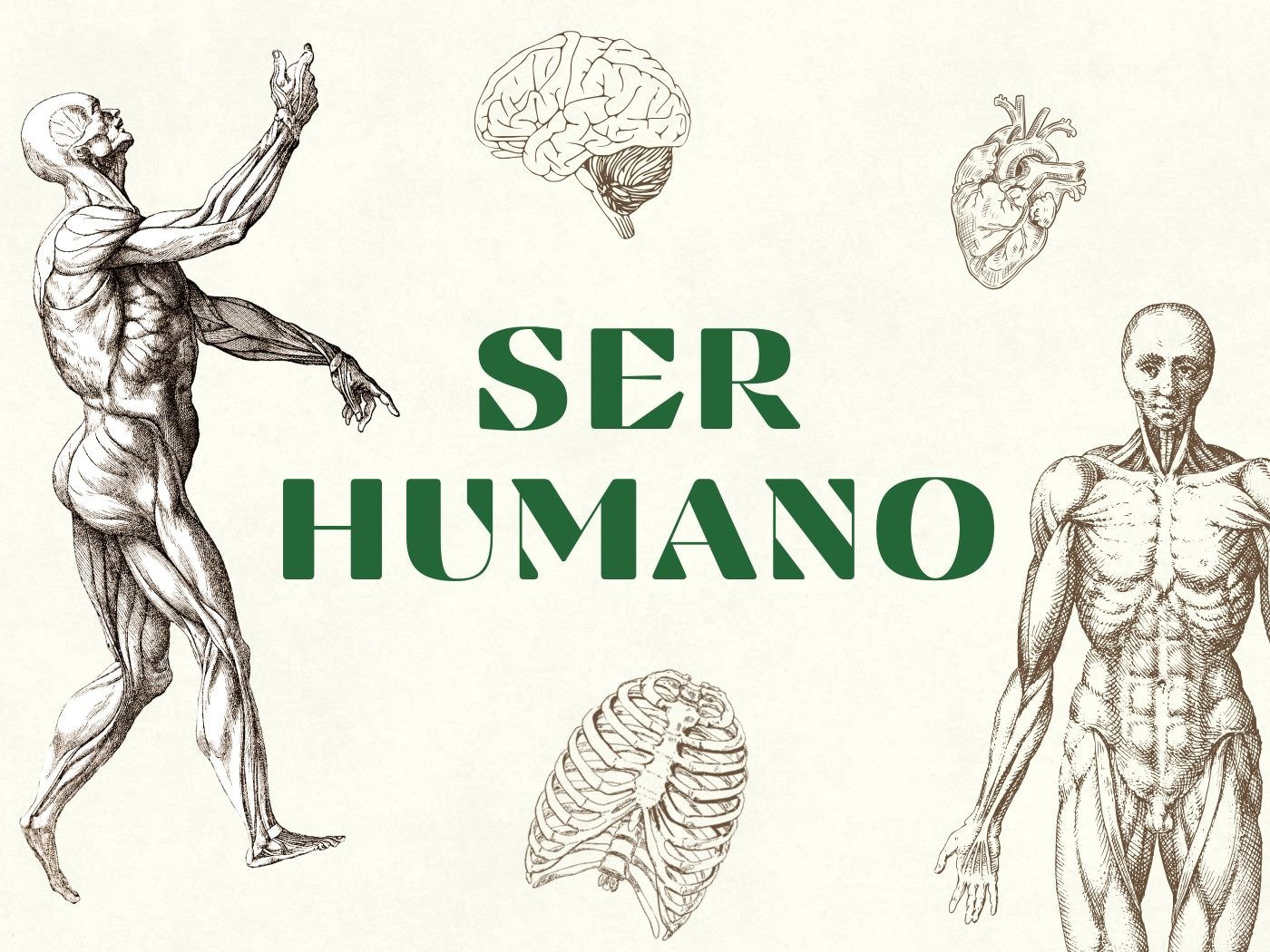 Ser Humano: entenda o que isso significa e suas características ...