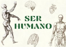 Ser Humano