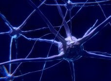 O que é sinapse, quais os tipos e como ocorrem