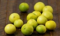 Tipos de limão