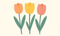 Tulipas