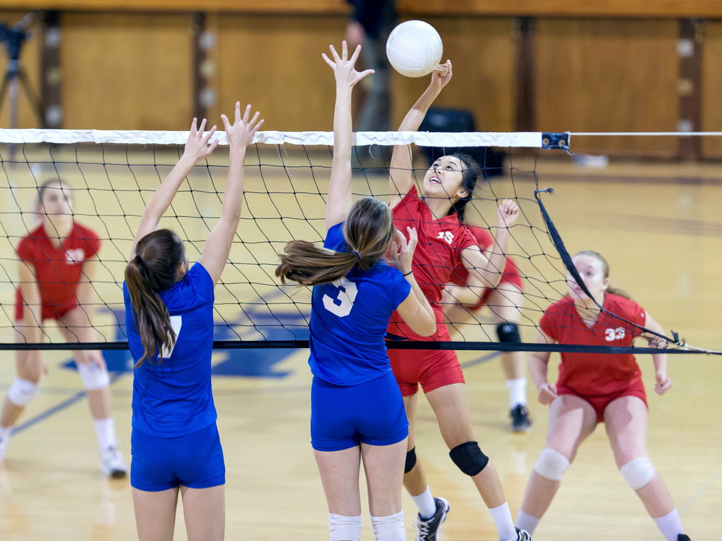 Voleibol